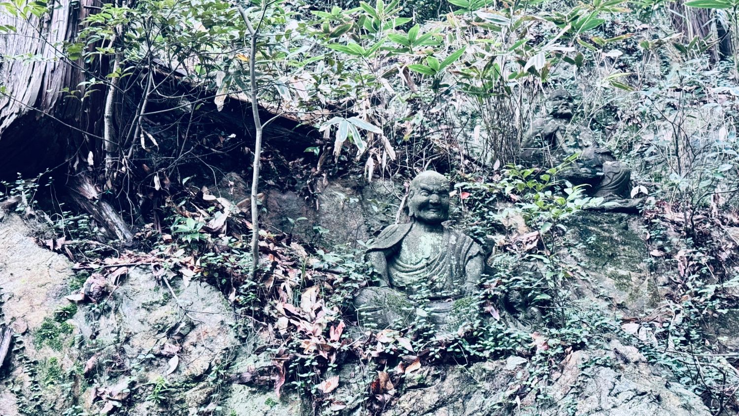 岩場に並ぶ十六羅漢の石仏